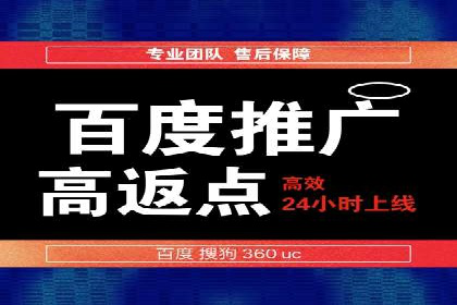 行业案例分析：sem账户托管的成功与挑战